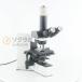 [DW]USED 8 день гарантия OLYMPUS BX40F-3 BX40 Microscope микроскоп WH10×/22 Plan 100×/1.25 MTV-3 шнур электропитания [08251-0003]