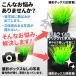 �B�e�X�^�W�I �B�e�L�b�g led ���C�g �{�b�N�X �Z�b�g �R���p�N�g �y�� �����^�� �|�[�^�u�� �Ȉ� ���� �B�e�p box �u�[�X LED�t �֘A�摜2