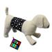  dog clothes manner belt black Polka dot 2( microminiature dog small size dog medium sized dog for large dog ) mail service if free shipping manner band manner pants dog wear dog. clothes nursing articles 
