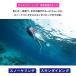 �V���m�[�P�����O �X�m�[�P�����O �X�L���_�C�r���O �t�B�����Ђ� �t���t�b�g�^�C�v �֘A�摜4