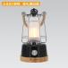 �O�b�h�E�O�b�Y �[�d��LED�����^�� �d���F �����F ���F�� ���邳���߉� �u���b�N W126�~H311mm DS-8E-BLK 1��