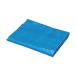 �A�C���X�I�[���} �u���[�V�[�g 5250�~7100mm B10-5472 1��