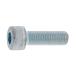 󥳡ȥ꡼ CAP(ϻѷդܥ)(P1.25 10145 A0-00-0004-0100-1450-00-1