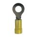 ȥ󥰥ۡ ӥˡʤհü(ݷ) :AWG1210/3.55.5sq եͥ:M10 EV10-38RB-Q 25