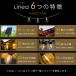 �\�[���[���C�g ���O �h�� ���邢 �[�d�� �d���^ �X�g�����O���C�g LED ���[�l�A �y���g�F 12�A�z�\�[���[ ���C�g �K�[�f�����C�g �Z���T�[���C�g �A �֘A�摜2