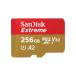 SanDisk(�T���f�B�X�N) Extreme microSDXC 256GB UHS-I U3 V30 Class10 A2 (SDSQXAV-256G-GN6MN)