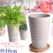 �A�ؔ� ������� ���� ���� �T�C�Y 16cm �n�[���j�[ 5�� �z���C�g�r�X�N ���t ��M�t ���� ���O �����K �F
