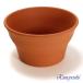�A�ؔ� ������� ���� ���� �T�C�Y 25cm �r�I�� 8�� �ԏ� ���� ���O �����K �F �֘A�摜1