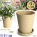 �A�ؔ� ������� ���� ���� �T�C�Y 19cm �t�����[���[�h 6�� ���� ��M�t ���� ���O �� �F