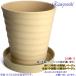 �A�ؔ� ������� ���� ���� �T�C�Y 22cm �t�����[���[�h 7�� ���� ���� ���O �� �F �֘A�摜5