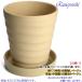 �A�ؔ� ������� ���� ���� �T�C�Y 16cm �t�����[���[�h 5�� ���� ���� ���O �� �F �֘A�摜5
