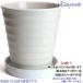 �A�ؔ� ������� ���� ���� �T�C�Y 22cm �t�����[���[�h 7�� ���� ���� ���O �z���C�g �� �F �֘A�摜5