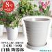 �A�ؔ� ������� ���� ���� �T�C�Y 25.5cm �t�����[���[�h 8�� ���� ��M�t ���� ���O �z���C�g �� �F