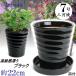 �A�ؔ� ������� ���� ���� �T�C�Y 22cm �t�����[���[�h 7�� �� ��M�t ���� ���O �u���b�N �F