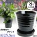 �A�ؔ� ������� ���� ���� �T�C�Y 25.5cm �t�����[���[�h 8�� �� ��M�t ���� ���O �u���b�N �F