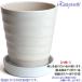 �A�ؔ� ������� ���� ���� �T�C�Y 16.5cm �t�����[���[�h 5�� ���� ���� ���O �z���C�g �� �F �֘A�摜5