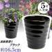 �A�ؔ� ������� ���� ���� �T�C�Y 16.5cm �t�����[���[�h 5�� �� ���� ���O �u���b�N �F