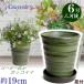 �A�ؔ� ������� ���� ���� �T�C�Y 19cm �t�����[���[�h �U�� �O���[�� KN��M1179�t ���� ���O ��