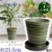 �A�ؔ� ������� ���� ���� �T�C�Y 21.5cm �t�����[���[�h �V�� �O���[�� KN��M1229�t ���� ���O ��