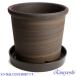 �A�ؔ� ������� ���� ���� �T�C�Y 22cm S�|�b�g 7�� �u���E�� ���� ���O �� �F �֘A�摜5