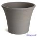 �A�ؔ� ������� ���� ���� �T�C�Y 26.5cm DL���[�Y 8�� �Õ��� ���� ���O �O���[ �F �֘A�摜1