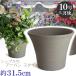 �A�ؔ� ������� ���� ���� �T�C�Y 31.5cm DL���[�Y 10�� �Õ��� ���� ���O �O���[ �F