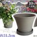 ��M�t �A�ؔ� ������� ���� ���� �T�C�Y 31.5cm DL���[�Y 10�� �Õ��� �� �l�`��M8�� ���Ԃ� ���� ���O �O���[ �F