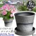 �A�ؔ� ������� ���� ���� �T�C�Y 19cm ���b�N�K�[�f�� 6�� �_�[�N�V���o�[ ��M�t ���� ���O �O���[ �� �F