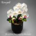  photocatalyst . butterfly orchid artificial flower interior small wheel 1 pcs . Short white A white color . festival gift souvenir birthday presentation new building opening flower fake green air cleaning 