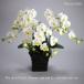  photocatalyst . butterfly orchid artificial flower interior small wheel 3ps.@. white B white color . festival gift souvenir birthday presentation new building opening flower fake green air cleaning 