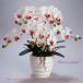  photocatalyst . butterfly orchid artificial flower interior small wheel 3ps.@. white pink B white color . festival gift souvenir birthday presentation new building opening flower fake green air cleaning 