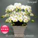  photocatalyst . butterfly orchid artificial flower interior small wheel 5ps.@. white B white color . festival gift souvenir birthday presentation new building opening flower fake green air cleaning 