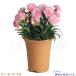 �A�ؔ� ���� �f�ĕ������� 3�� ������� �T�C�Y 10cm �r�� �ʋC �f�Ĕ� �� �͔| �����ĐA���ɗǂ��� ���{�� �e���R�b�^ ���Y �֘A�摜5