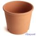 �A�ؔ� ������� ���� ���� �T�C�Y 22.5cm S�|�b�g 7�� �ԏ� ���� ���O �����K �F �֘A�摜2