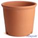�A�ؔ� ������� ���� ���� �T�C�Y 25cm S�|�b�g 8�� �ԏ� ���� ���O �����K �F �֘A�摜1