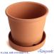 �A�ؔ� ������� ���� ���� �T�C�Y 25cm S�|�b�g 8�� �ԏ� ���� ���O �����K �F �֘A�摜5