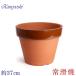 �A�ؔ� ������� ���� ���� �T�C�Y 37cm �_���� �[ 12�� �����K�F ���� ���O �e���R�b�^ �F ���Y ���{��
