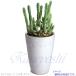 �A�ؔ� ������� ���� ���� �T�C�Y 11.5cm ���C�������[�Y�|�b�g 3.5�� �z���C�g ���� ���O �� �F �֘A�摜5