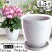  цветочный горшок модный дешевый керамика размер 14cm Royal rose pot 4.5 номер белый . тарелка есть салон наружный белый цвет 