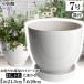 �A�ؔ� ������� ���� ���� �T�C�Y 21cm MGI-21 7�� �z���C�g ��M�t ���� ���O �� �F