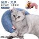 a.. . кошка подушка Dakimakura собака для ... pillow подушка для подбородка подушка кошка подушка домашнее животное подушка ... . кошка подушка кошка. U знак type подушка .. подушка месяц. форма удобный спальный комфорт собака кошка 