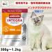  кошка .. диетическое питание animonda.. поддержка Integra 1.2kgl1.2kgl8020245707573-12-n__1