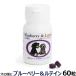 Japan Be ef blueberry &rutin60 bead 