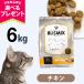 ( можно выбрать с подарком .) Bliss Mix кошка для chi gold 6kg корм для кошек аллергия соответствует полость рта внутри . шар .K12 сочетание 