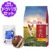 �m�p�b�P�[�W�ύX�ρn�t�B�W�J���C�t (Physicalife) �����p �`�L�����哤���� 2kg �{���������Y��������� 15g