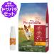 �m�p�b�P�[�W�ύX�ρn�t�B�W�J���C�t (Physicalife) �����p �`�L�����哤���� 2kg+�����R�[�e�B���O�C���h�A(�����p) 20ml