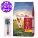 �m�p�b�P�[�W�ύX�ρn�t�B�W�J���C�t (Physicalife) �����p �`�L�����哤���� 2kg+���Y���f���^���{�[�� 1�{����