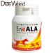 �G�l�A���@EneALA�@���L�p�T�v�������g�@30��
