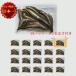  рефрижератор вьюн 1 упаковка дополнение корм для маленький 100gx19P+ дополнение 1P всего 20 упаковка [ примерно 10cm 1P на примерно 20 шт ] рыбалка корм замороженная наживка тропическая рыба старый плата рыба ..dojou