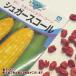  овощи. вид / семена shuga-s call один плата . распределение 1 пакет 15mL